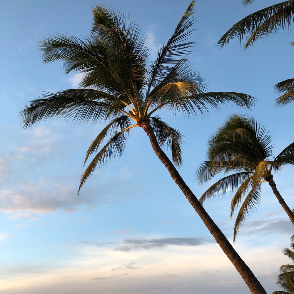 Meet your Posher, Melanie